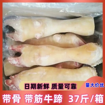 牛蹄，诚信经营，每天出货，一手货，价格，品质，质量