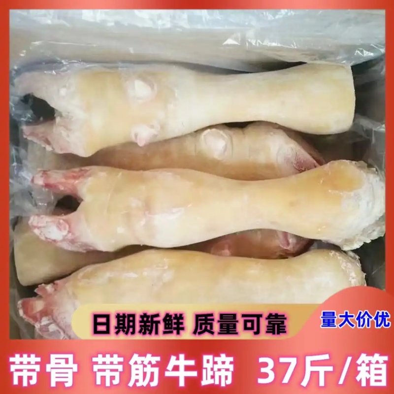 牛蹄，诚信经营，每天出货，一手货，价格，品质，质量