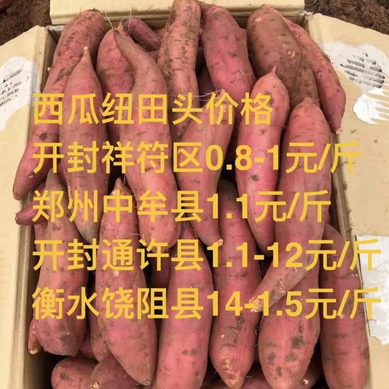 8月6号红薯行情
