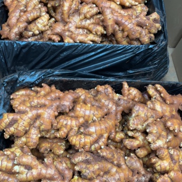 红泥特品