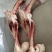 猪汤骨