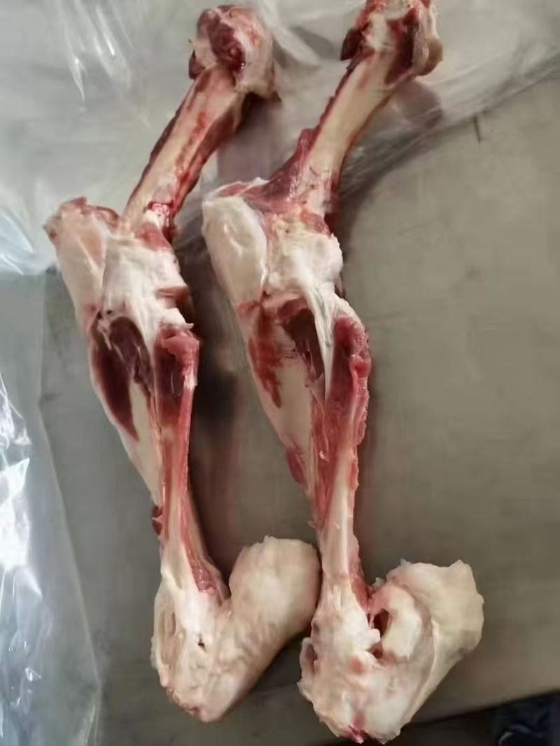 猪汤骨