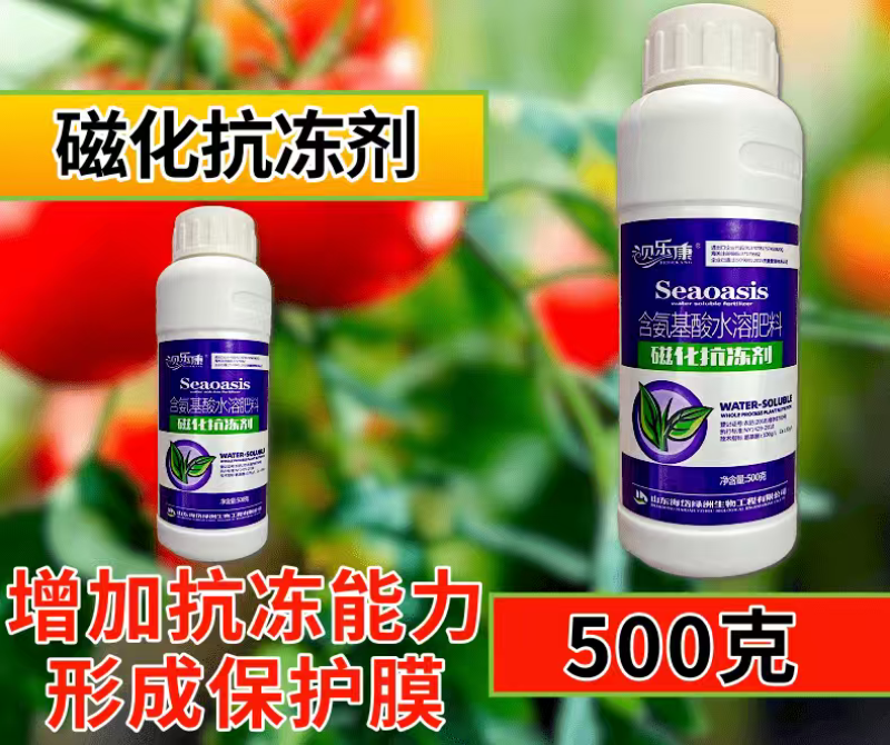 磁化抗冻剂防冻害低温增加热量含氨基酸水溶肥