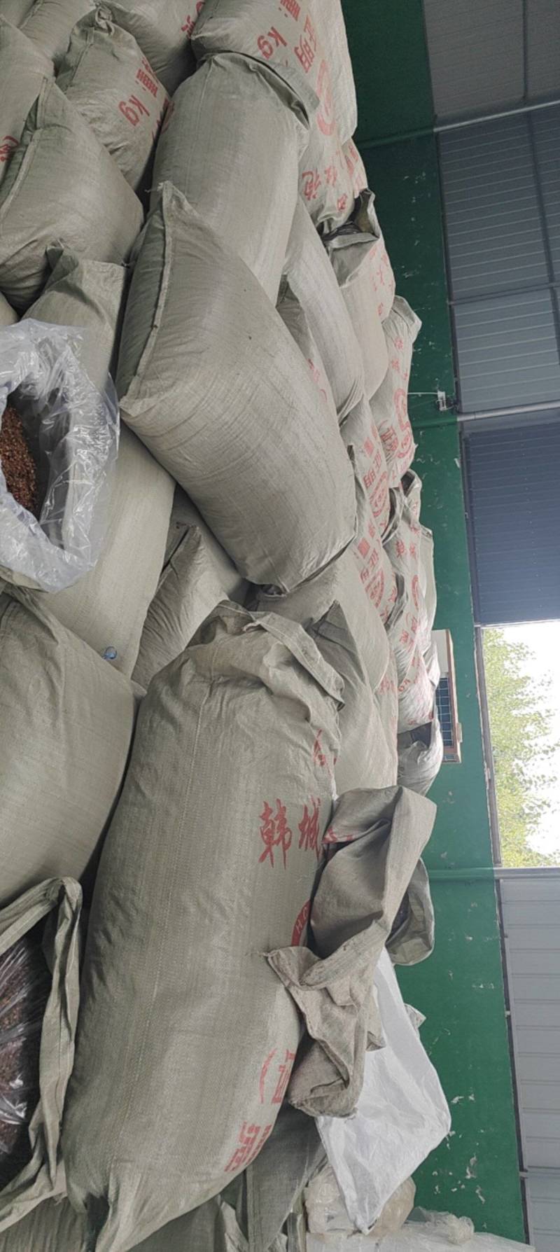 正宗陕西大红袍