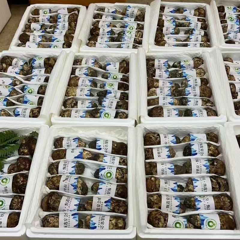 松茸80至400一公斤
