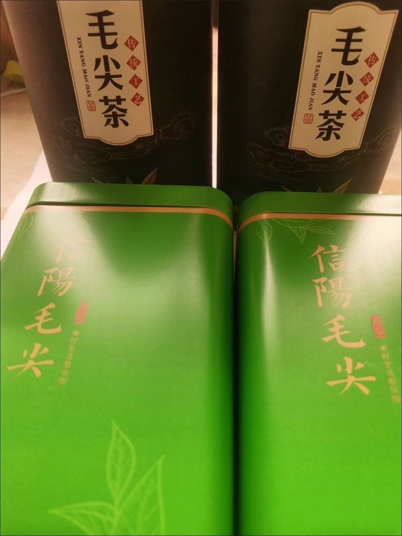 信阳毛尖