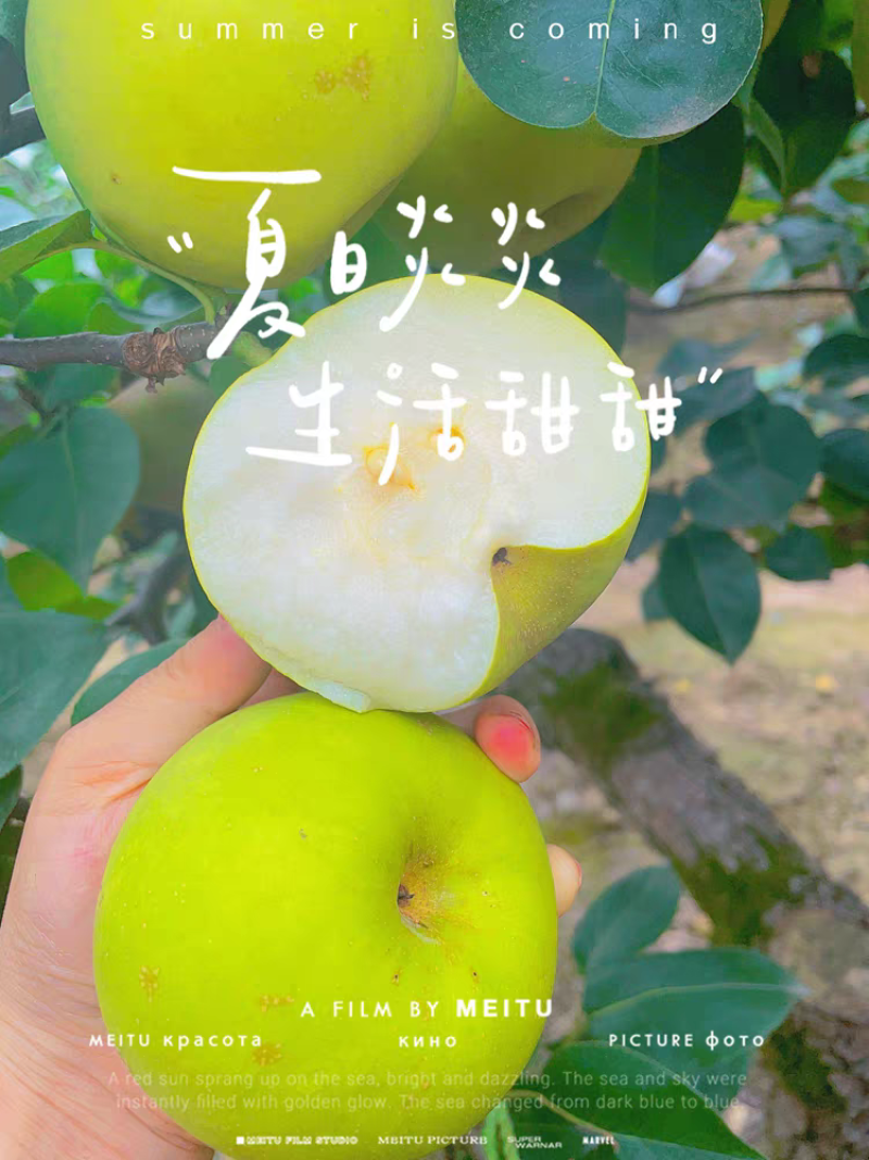 精品翠冠梨大量上市各种规格全国发货欢迎来电洽谈合作