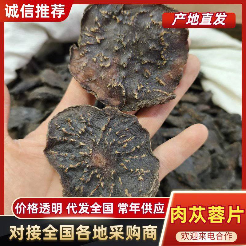 新疆软质肉苁蓉片大芸大货批发一件代发