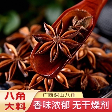 广西大红八角无硫足干