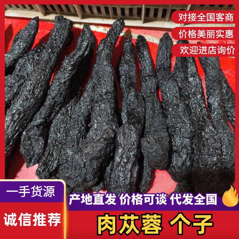 批发软质肉苁蓉个子规格齐全大芸大货一件代发