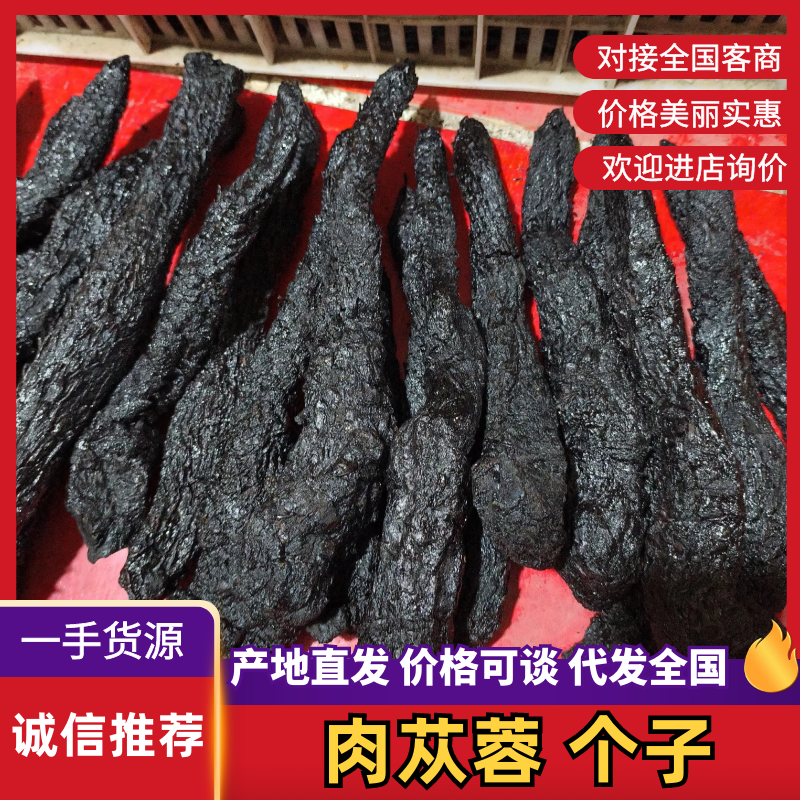 批发软质肉苁蓉个子规格齐全大芸大货一件代发