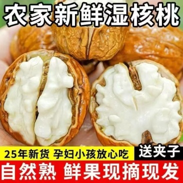 去青皮的核桃