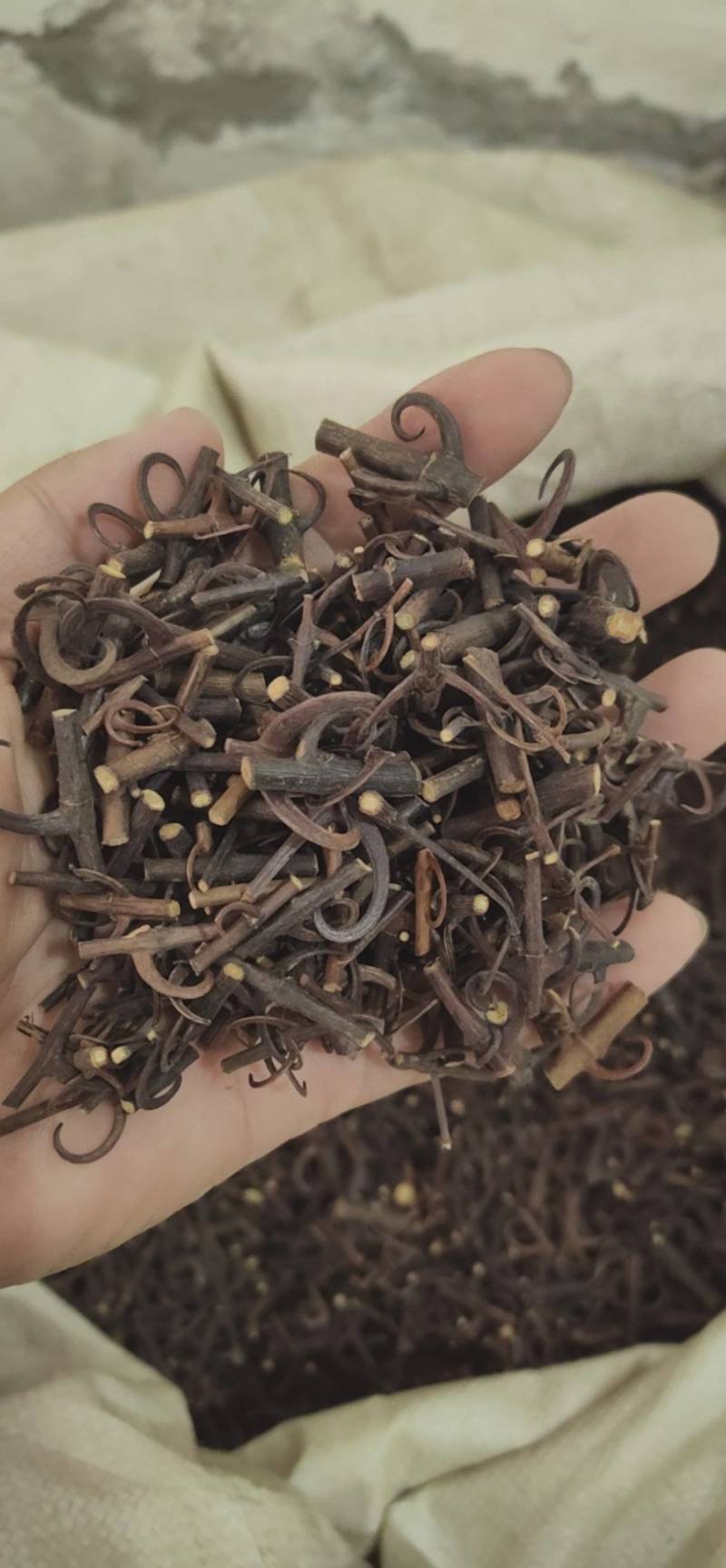 钩藤双钩鲁菏舜中药材批发