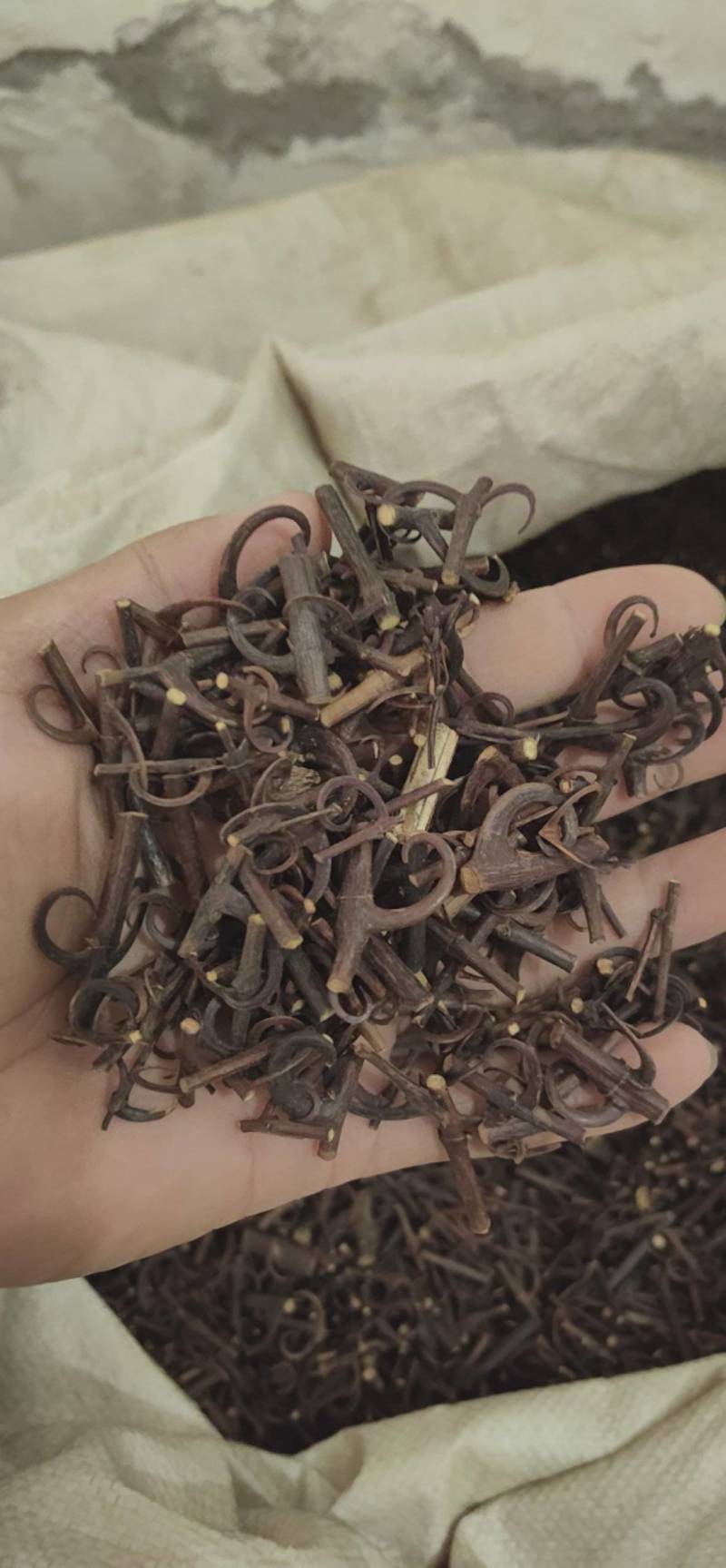 钩藤双钩鲁菏舜中药材批发