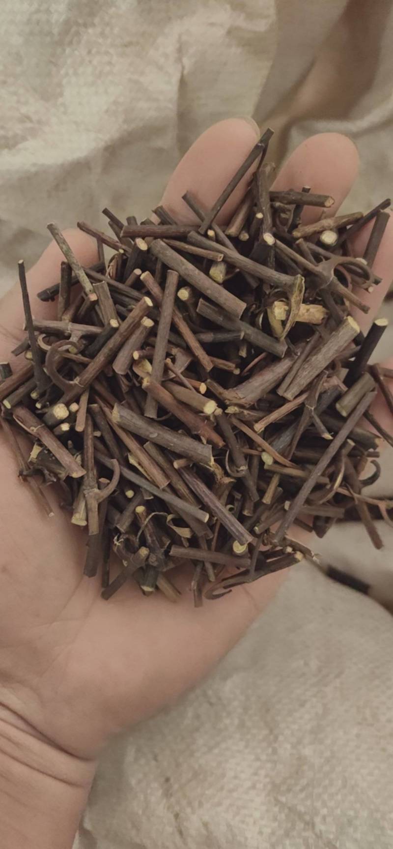 钩藤双钩鲁菏舜中药材批发