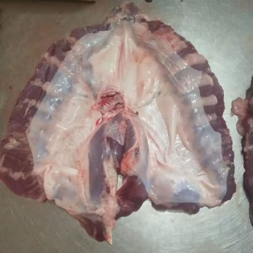 母猪护心肉，20公斤袋装，里面2小板