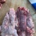 大块牛碎肉，国产纯干货，有大块有小块，有片，各种规格齐全