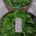云南勐海普洱茶