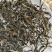 云南勐海普洱茶
