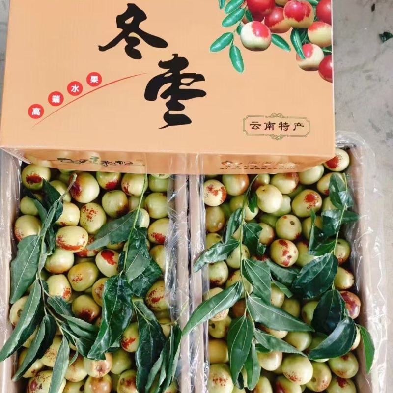 冬枣