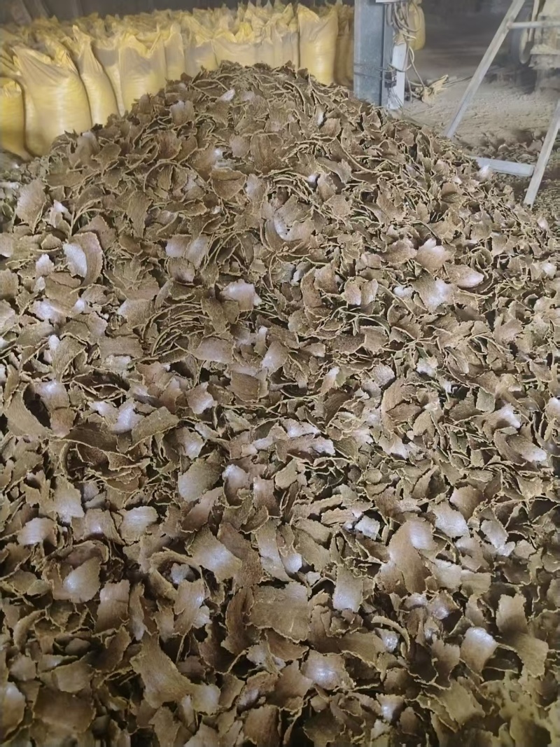 棉籽饼牛羊养殖饲料育肥棉饼有机肥瓜果蔬菜增收增产量大从优