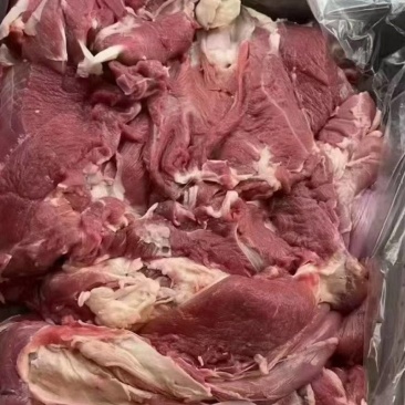 全羊去骨羊板肉，整羊剔骨，适合烧烤，红烧，剁馅，红焖羊肉