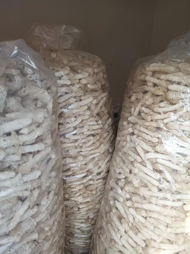 黔西南红拖竹荪干货鲜货产地直发