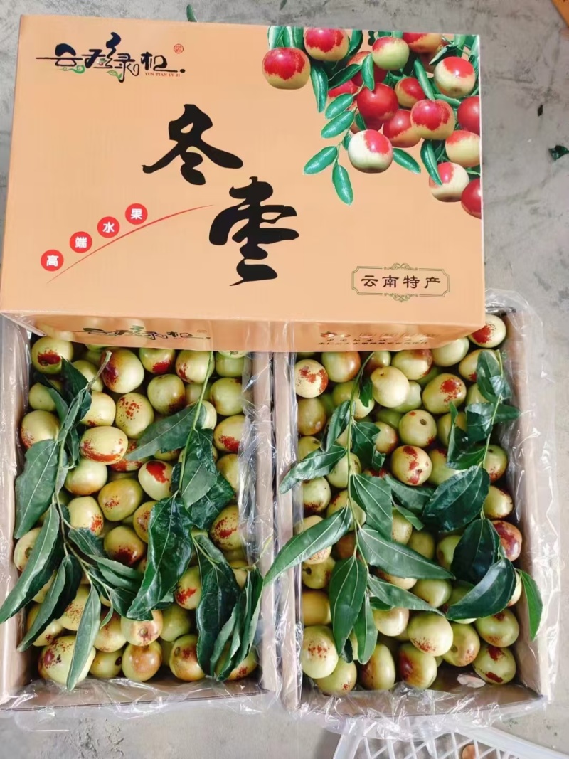 冬枣