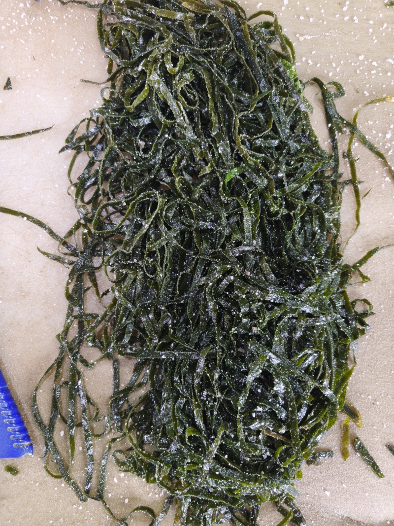 精品腌渍海带边丝