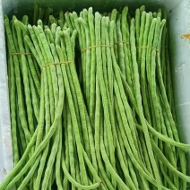 《青条豆角》广西基地直发直发对接商超电商团购一条龙服务