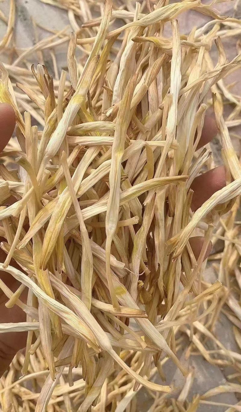 山西黄花菜,大量上市，规格齐全，品质优良，欢迎咨询