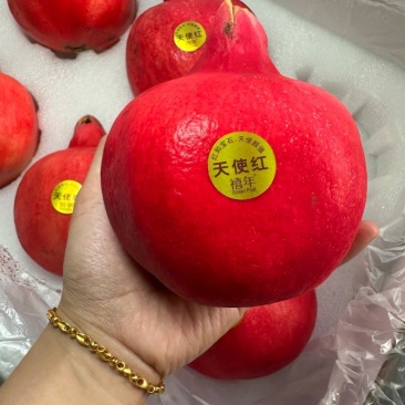 新品种石榴天使红
