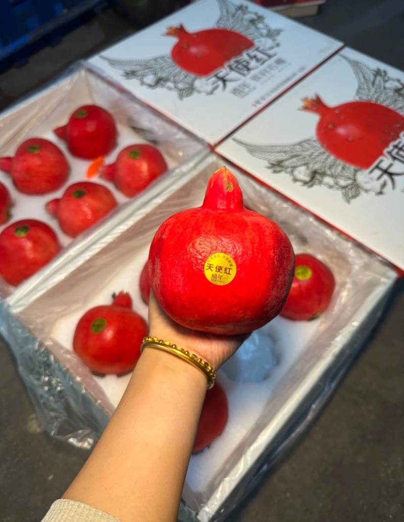 新品种石榴天使红