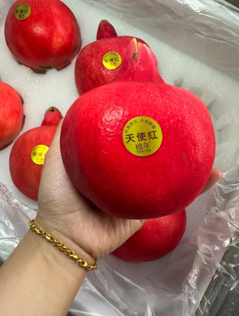 新品种石榴天使红