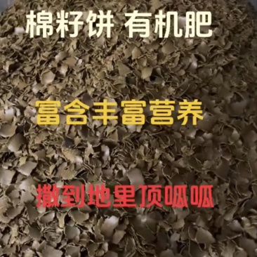 饼肥