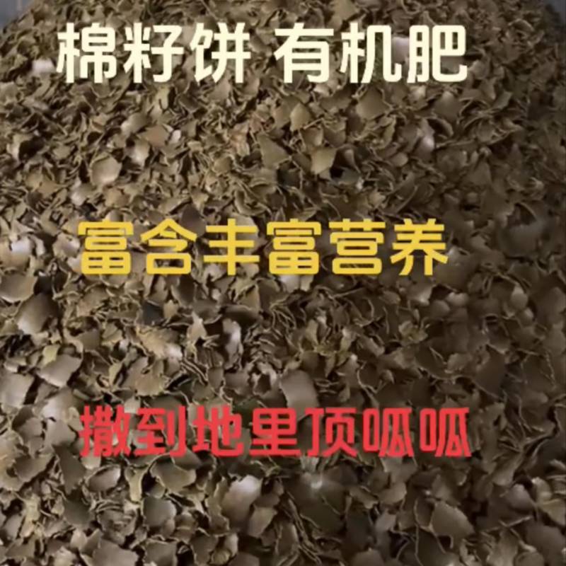 饼肥