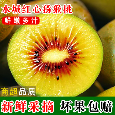 水城红心猕猴桃