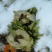 雪莲花天山雪莲中药材欢迎各位老板来电咨询订购