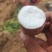 河北红薯白雪公主红薯白心红薯细长条署形好无机械伤无断头