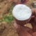 河北红薯白雪公主红薯白心红薯细长条署形好无机械伤无断头