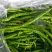 鲜辣椒大量上市产地直销保质保量全国通发一手货源
