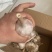 蒜，大蒜，蒜米大量供应，一手货源，规格齐全，河北产地