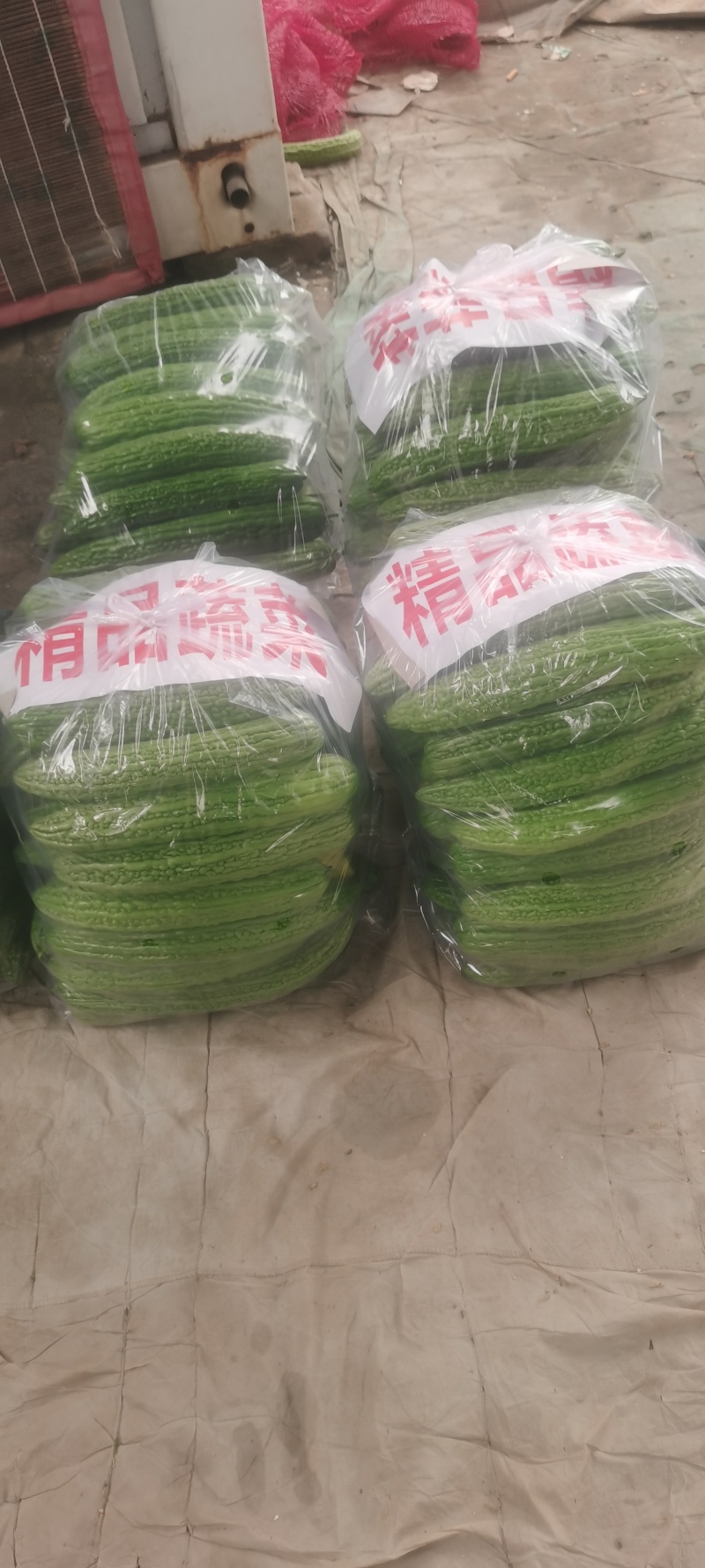 河南苦瓜，规模种植，价格低。视频看货，线上保障交易