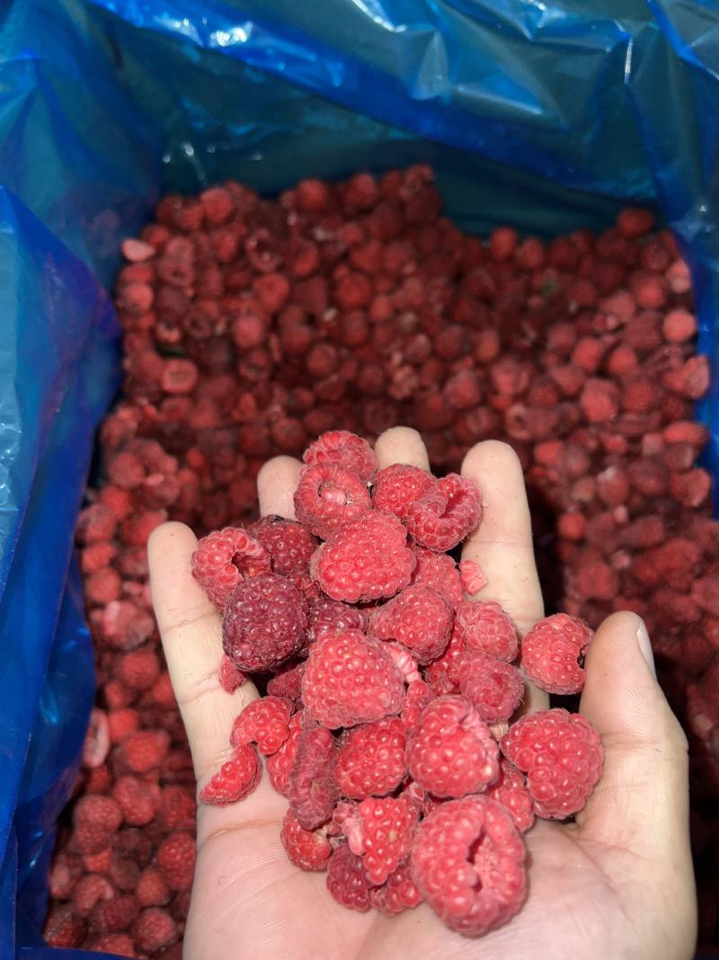 【红树莓】黑龙江森工集团亚布力林业局新鲜红树莓速冻果