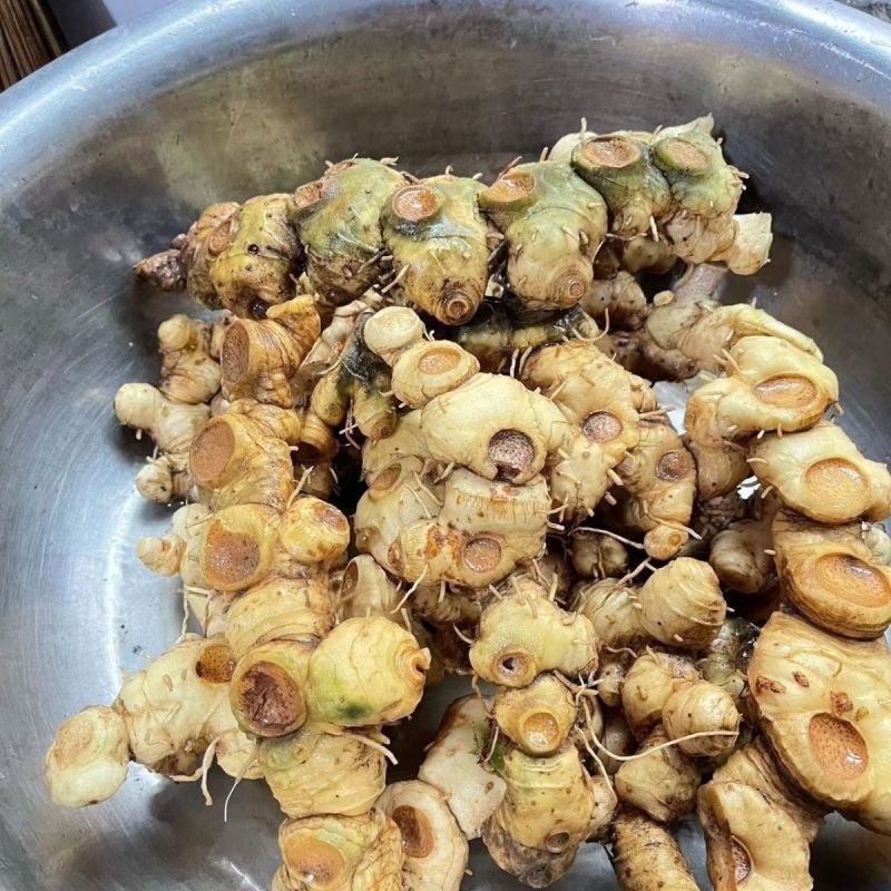 云南Ys黄精，包邮到家