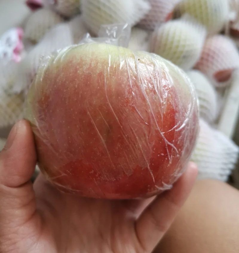中秋王苹果。红星苹果。早富士苹果。产地直发，一手货源充