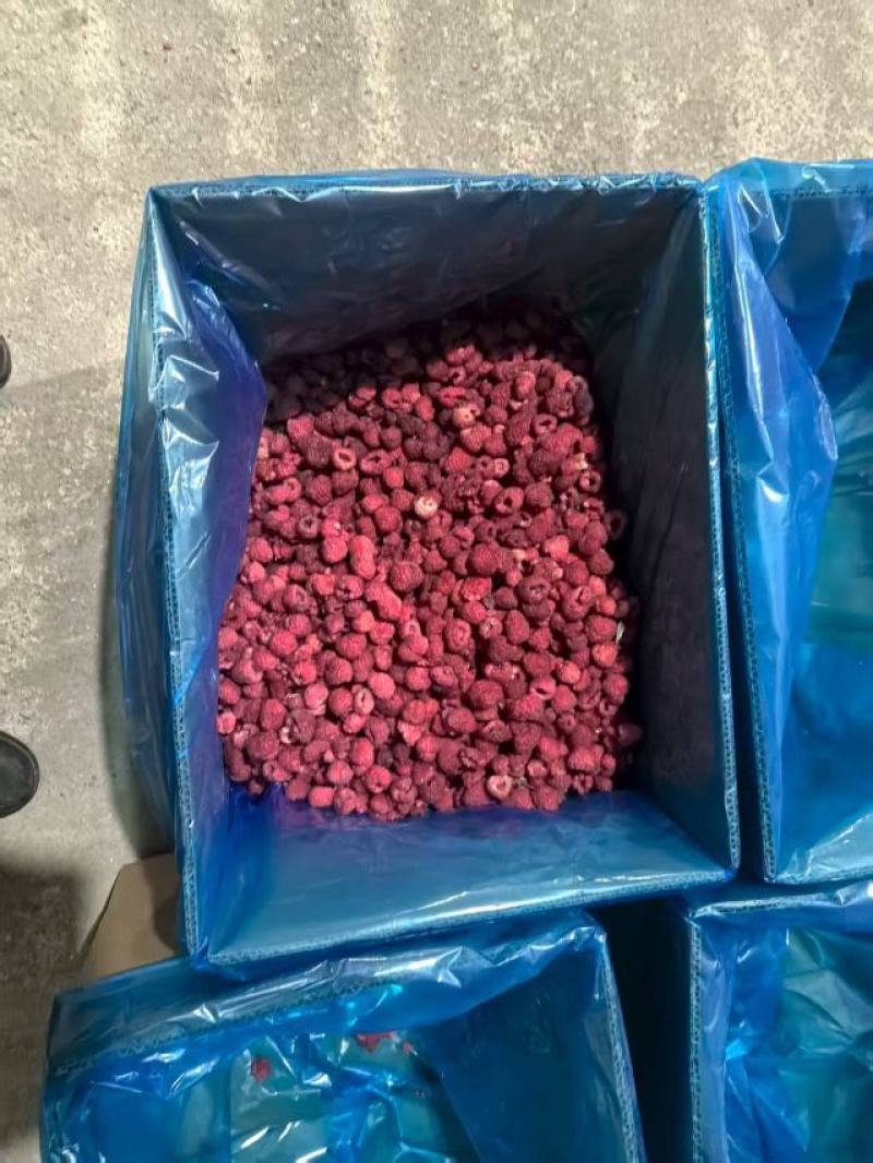 【树莓】黑龙江新鲜现货红树莓冻果，品质保证，量大从优