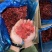 【树莓】黑龙江新鲜现货红树莓冻果，品质保证，量大从优