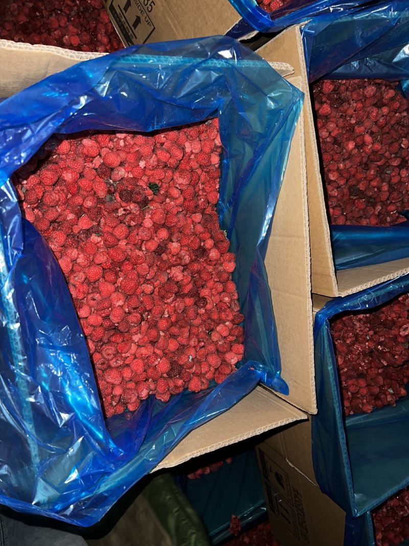 【树莓】黑龙江新鲜现货红树莓冻果，品质保证，量大从优