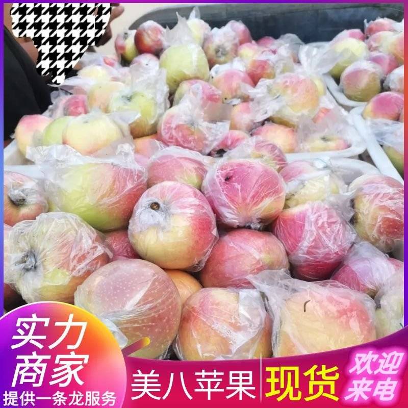 中秋王苹果。红星苹果。早富士苹果。产地直发，一手货源充